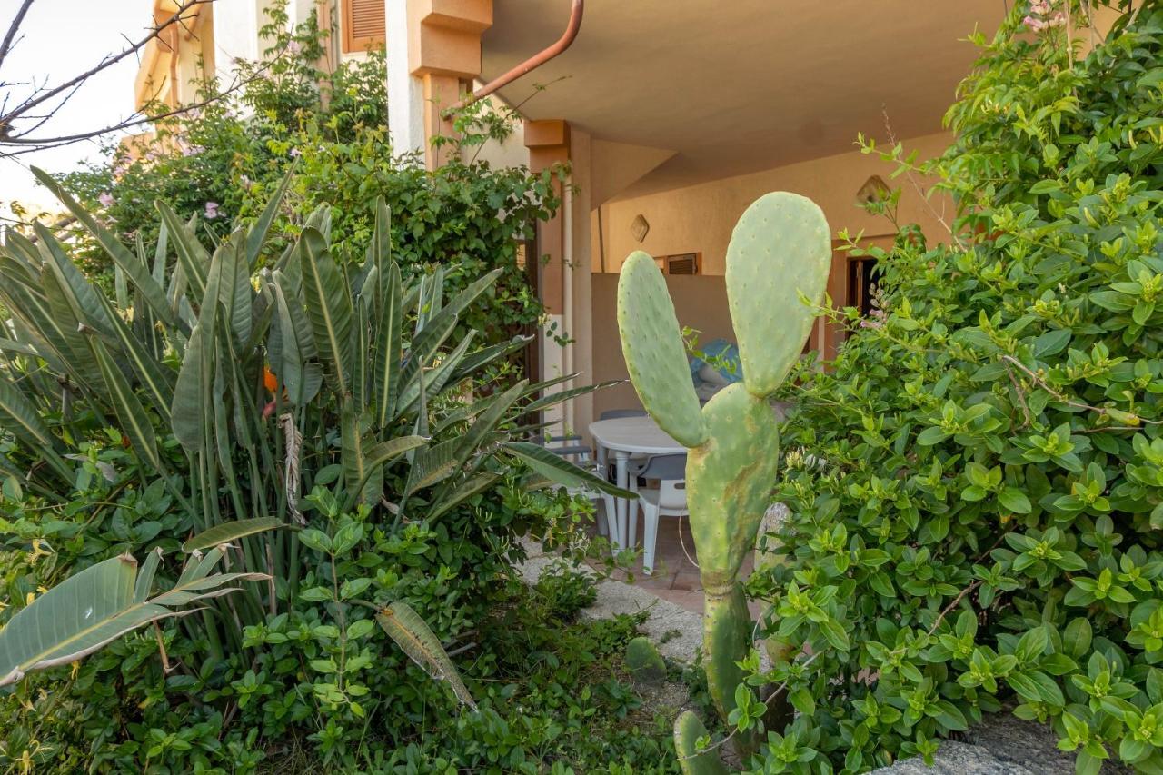 Apartment Orso Palau